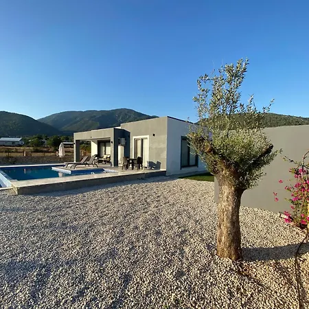 فيلة Karpuz فتحية