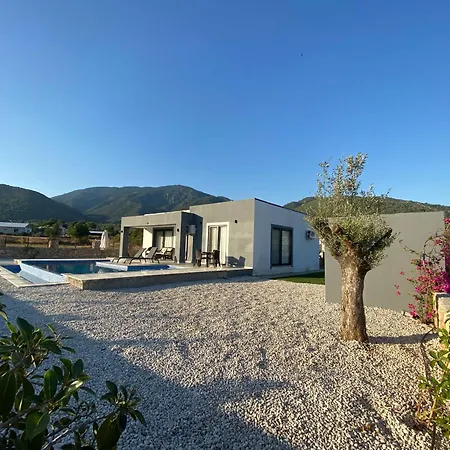 فيلة Karpuz فتحية